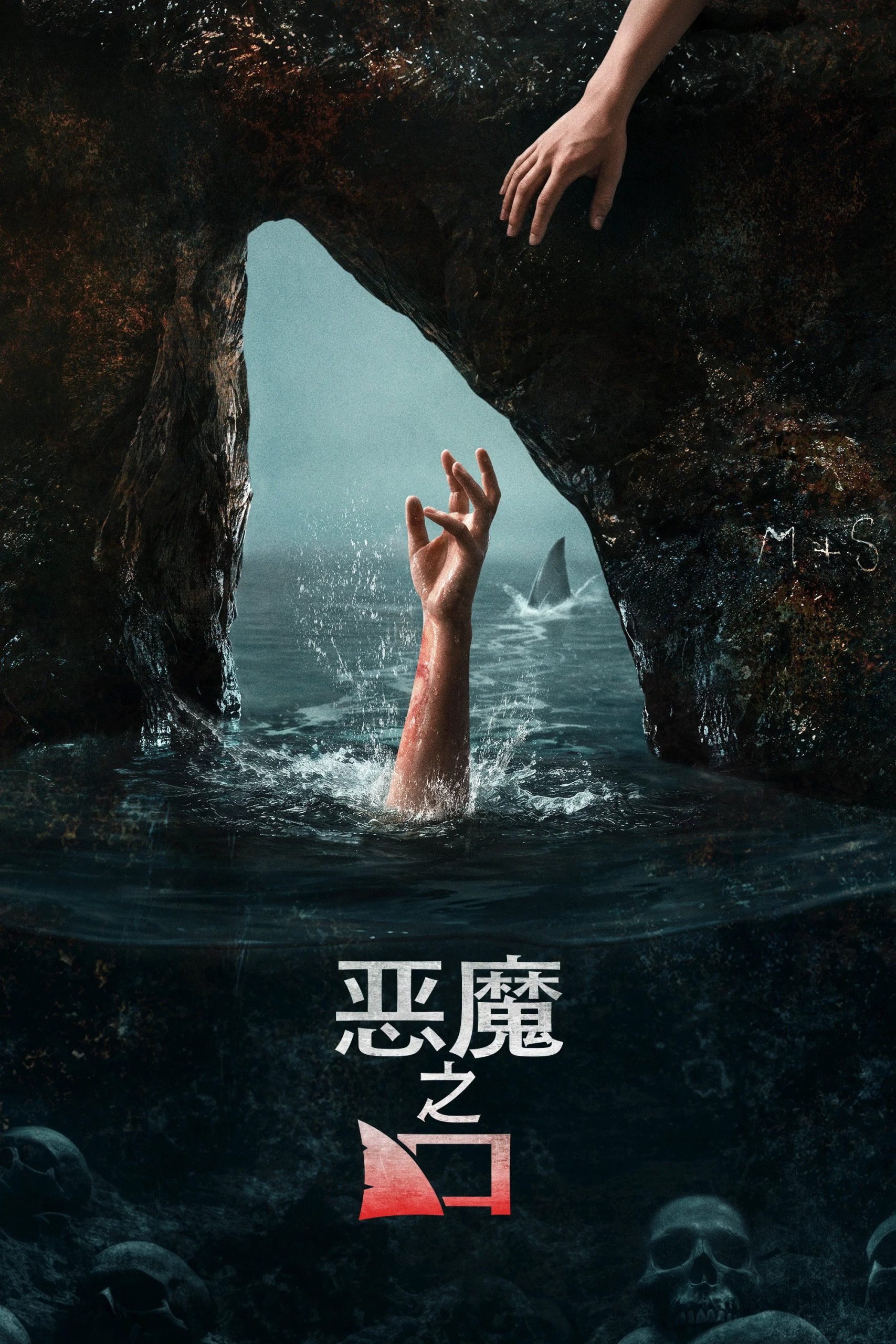 图片 3